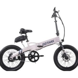 Gotrax F1 Folding E-Bike