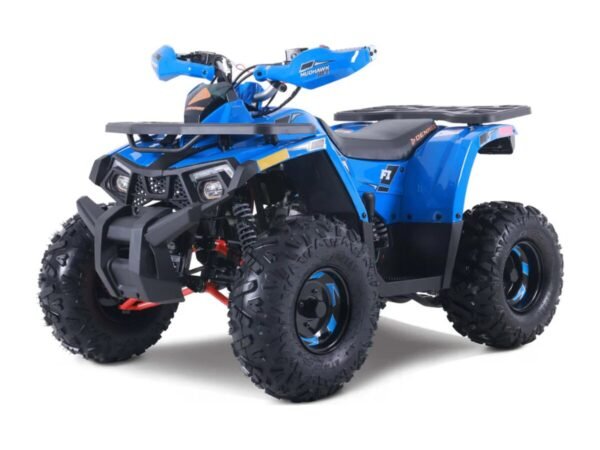 125cc Denago Mudhawk Fuel Injection