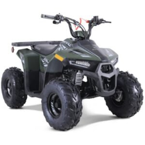 110cc Tao Mudhawk 6