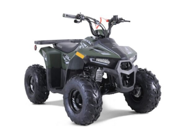 110cc Tao Mudhawk 6