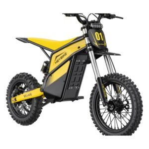 HeyBike Villian