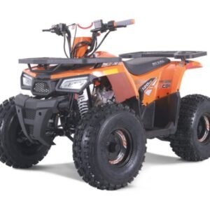 125cc TAO Mudhawk10