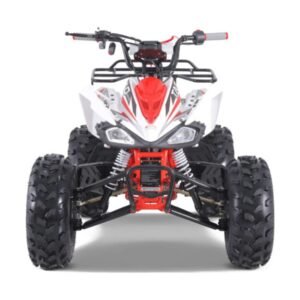 125cc Tao Cheetah