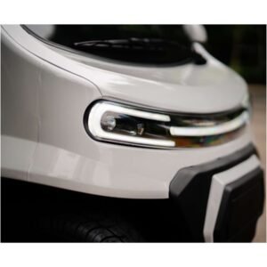 Denago City EV Golf Cart