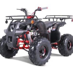 125cc Tao T-Force