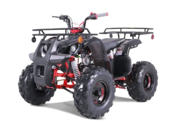 125cc Tao T-Force