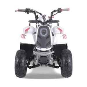 110cc Tao Rock