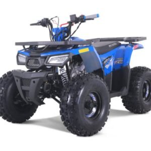 125cc TAO Mudhawk10